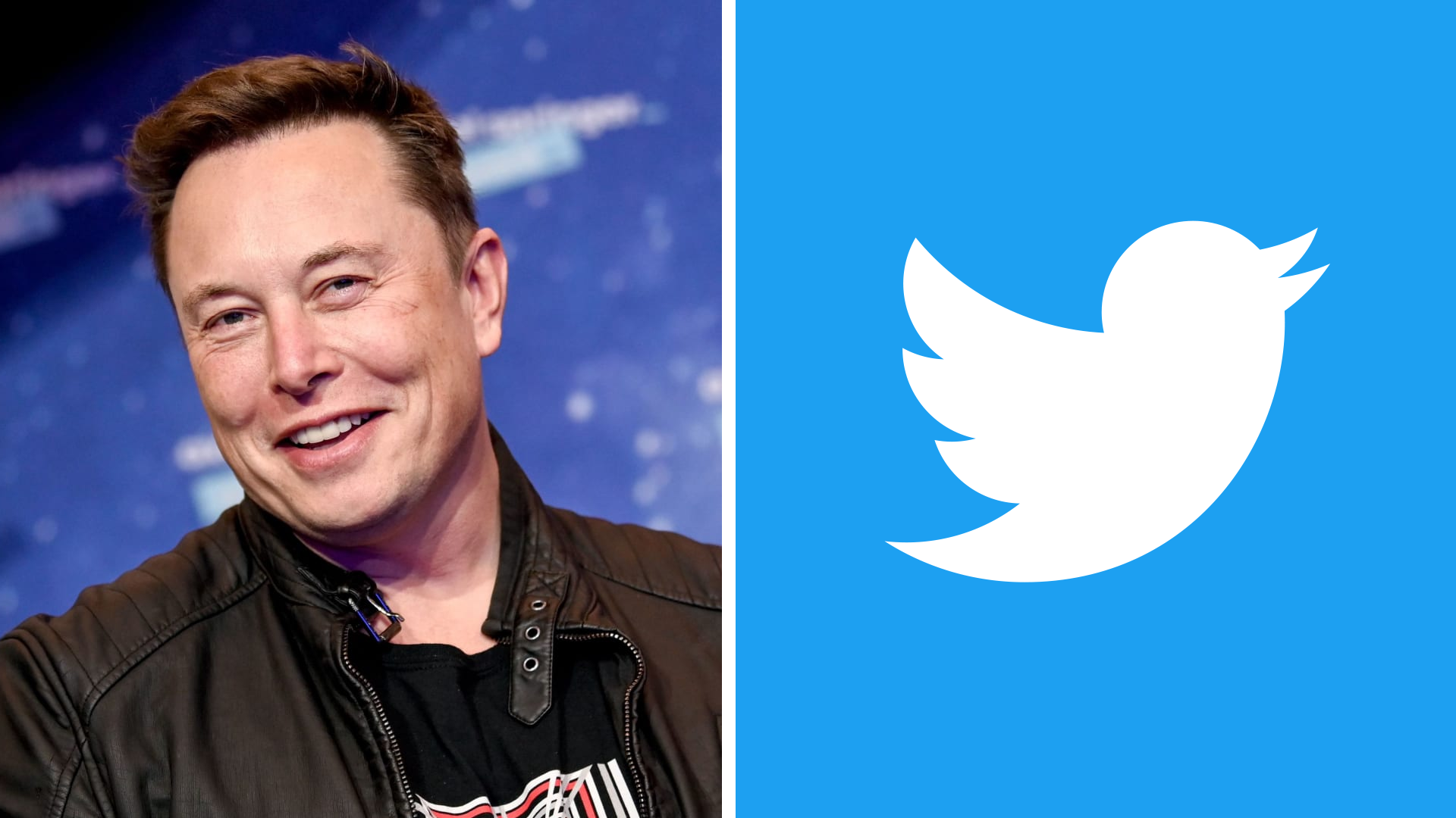 Elon Musk smiling and Twitter logo side by side