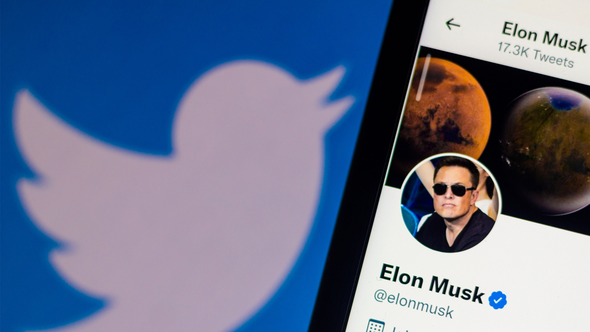 Elon Musk's profile on a phone in front of the twitter logo